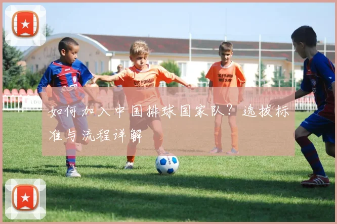 如何加入中国排球国家队？选拔标准与流程详解