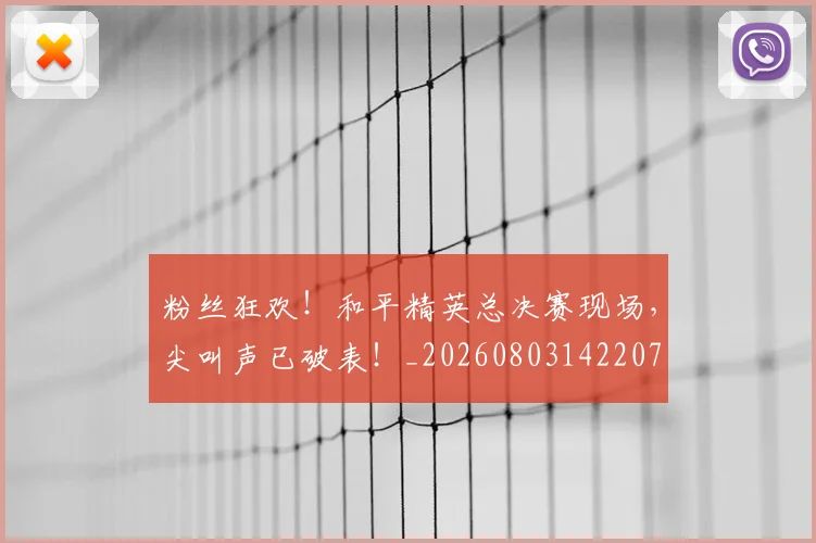 粉丝狂欢!和平精英总决赛现场,尖叫声已破表!_20260803142207